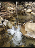 Reyes Creek Campground