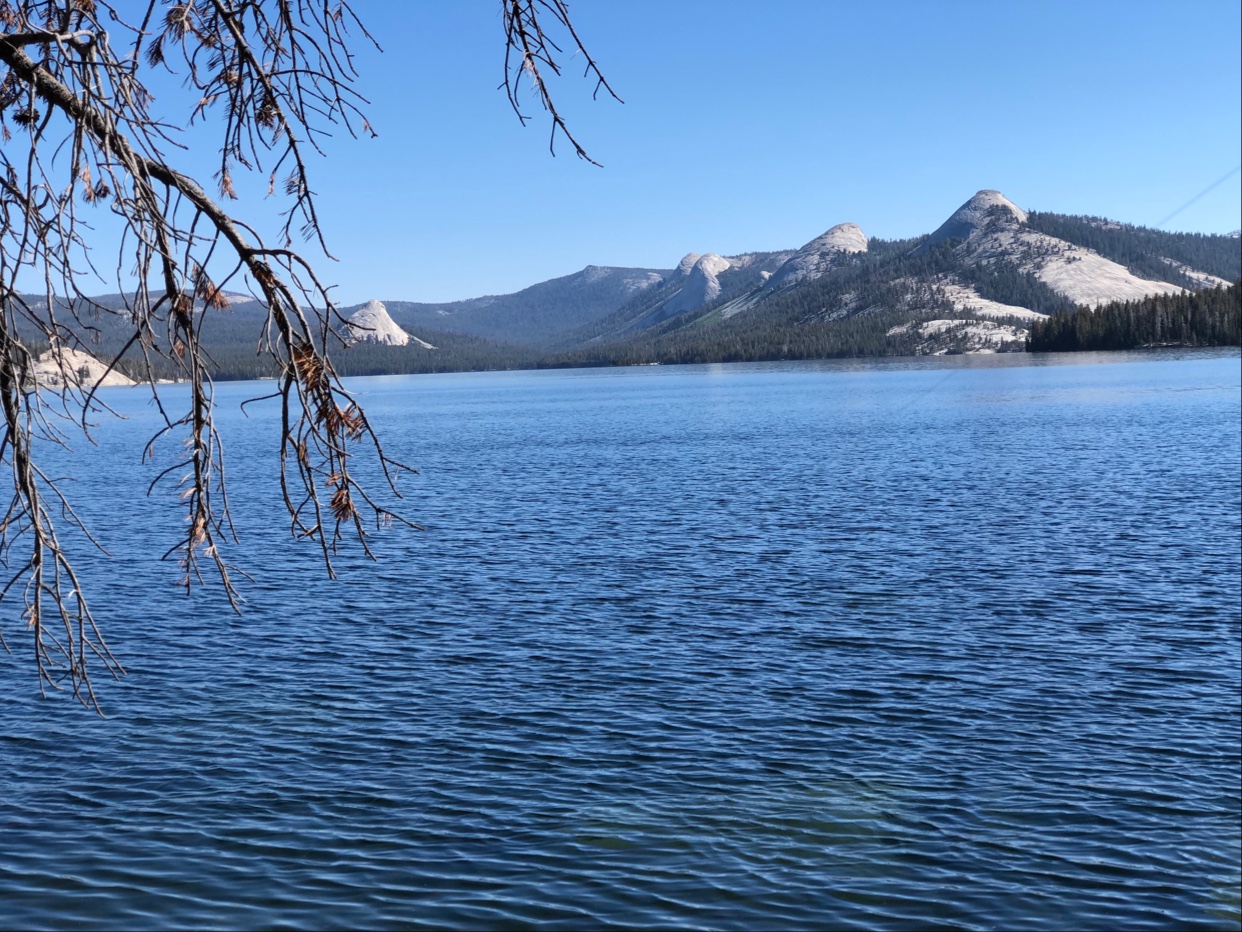 Trapper Springs Campground