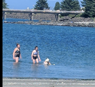 The Cape Motel & RV Park