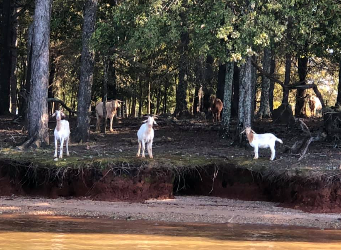 Lakeside Landing RV Park & Marina