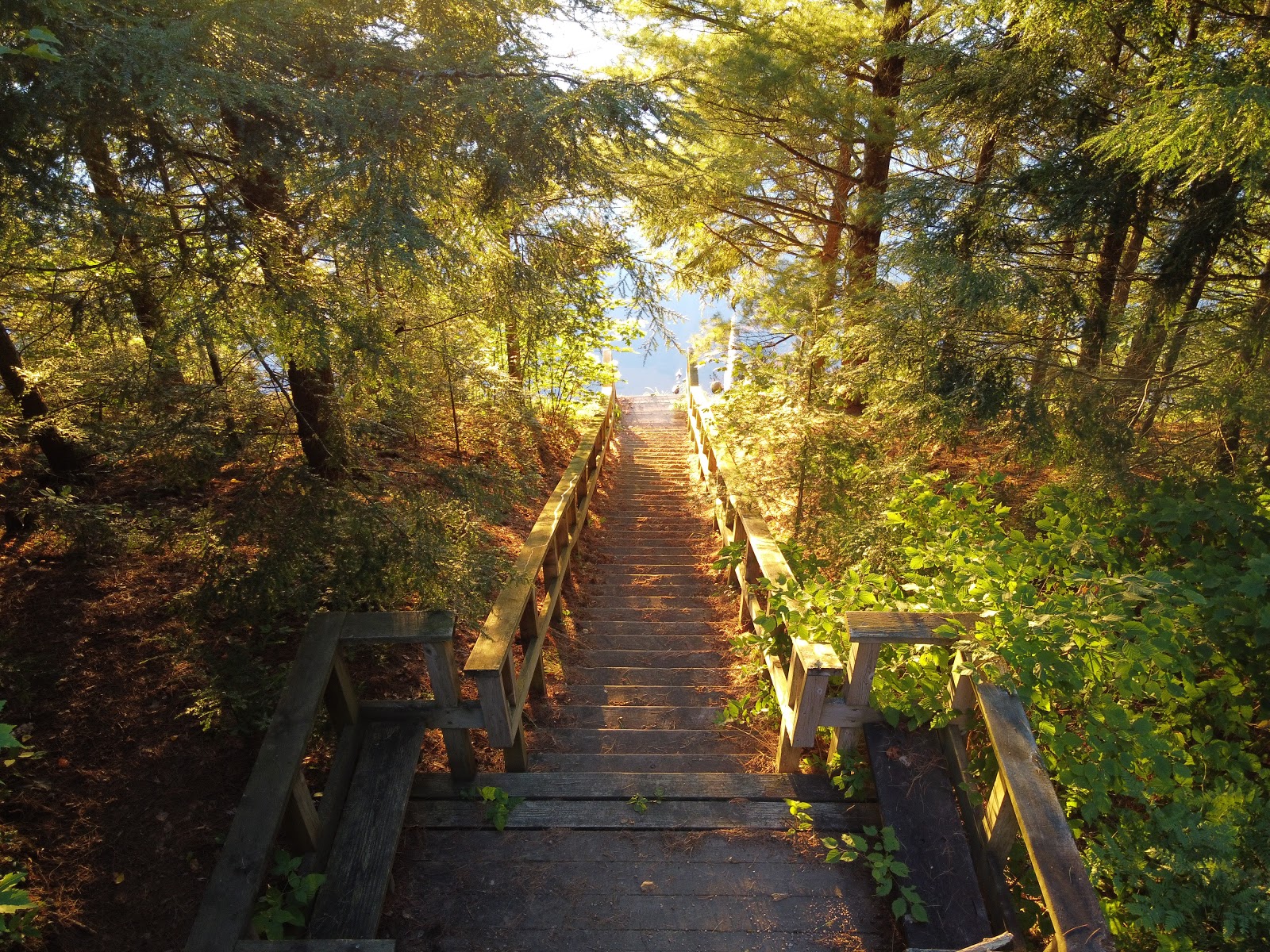 Wabasso Lake Campground