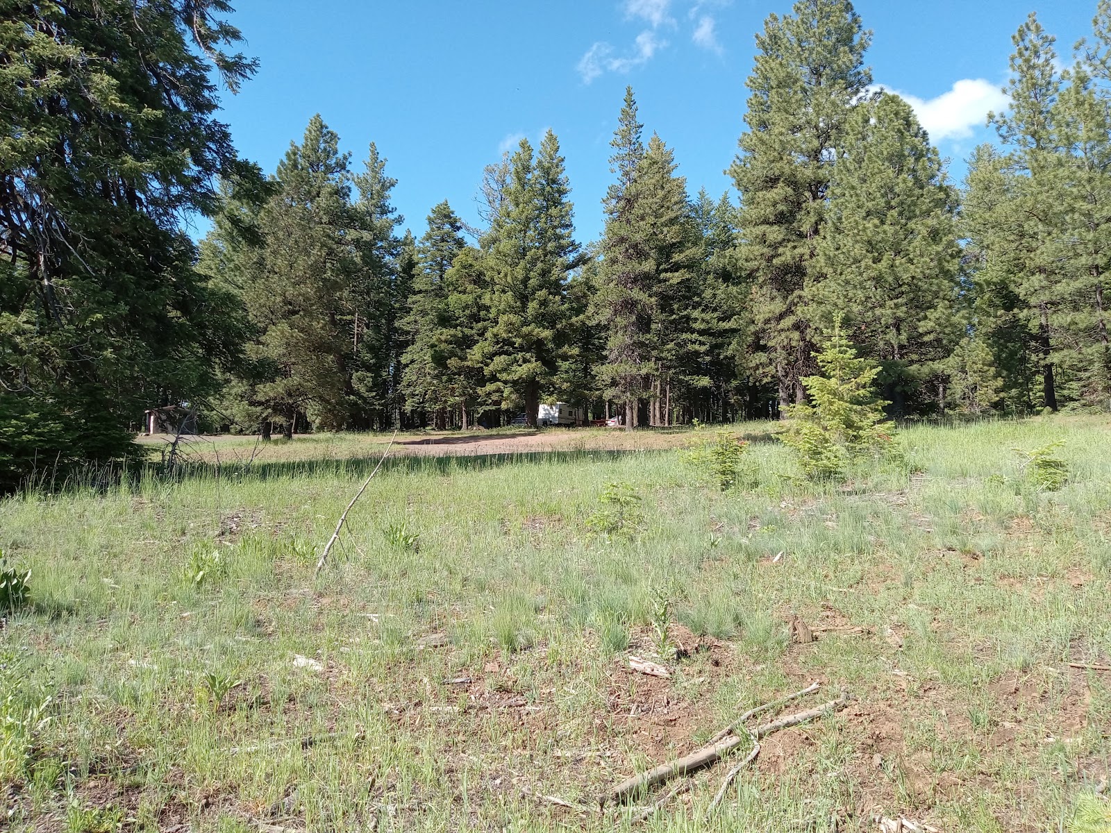 Alder Thicket Campground