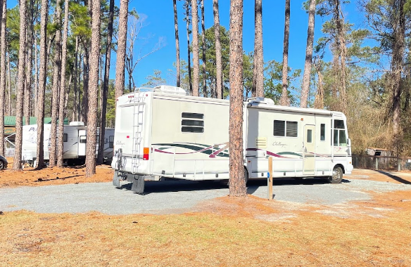 Daily Walk Stables Campground
