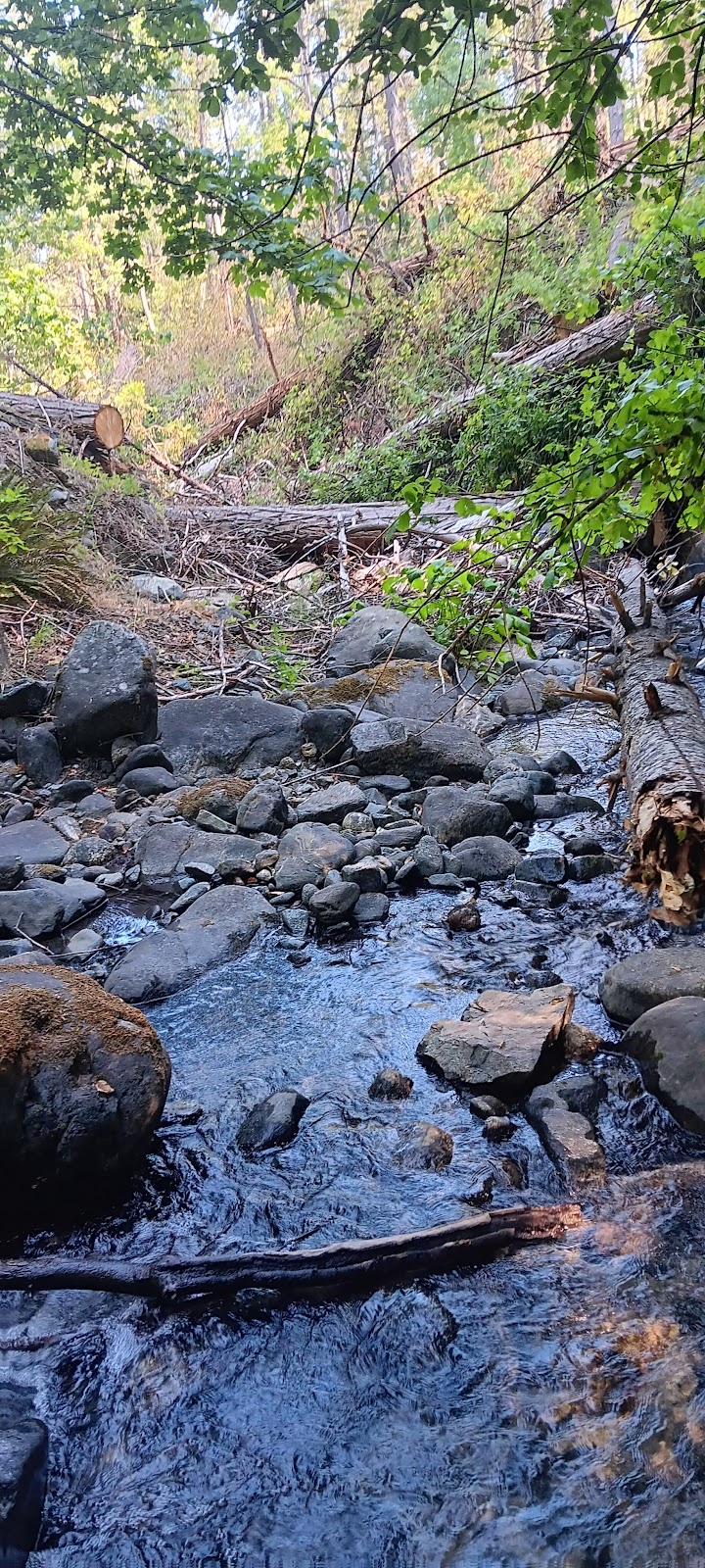 East Weaver Campground