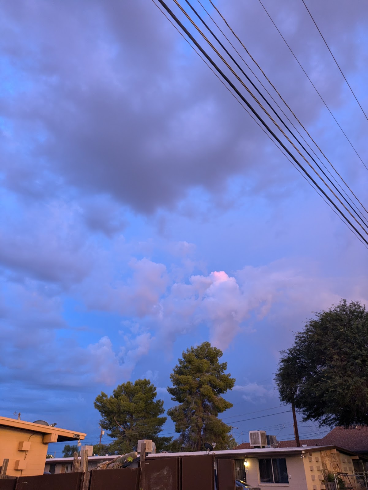 Whispering Palms RV Park