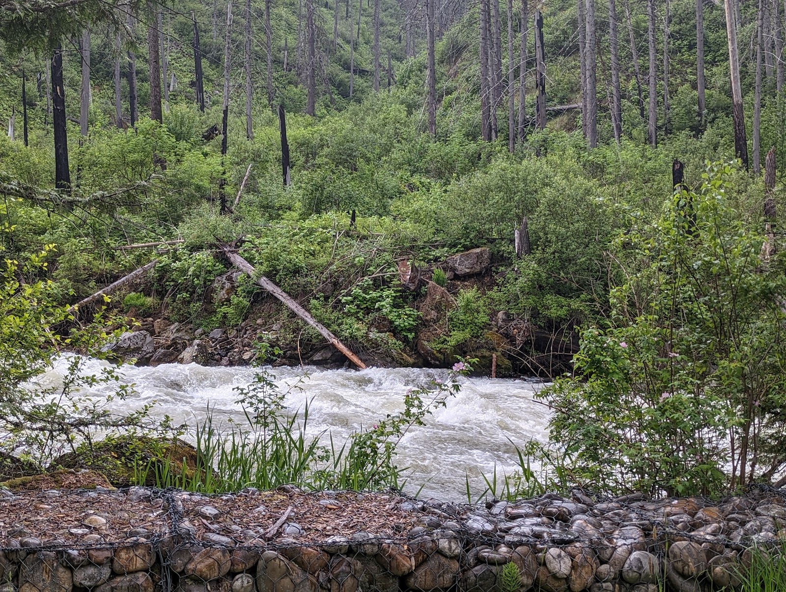 Selway Falls Campground
