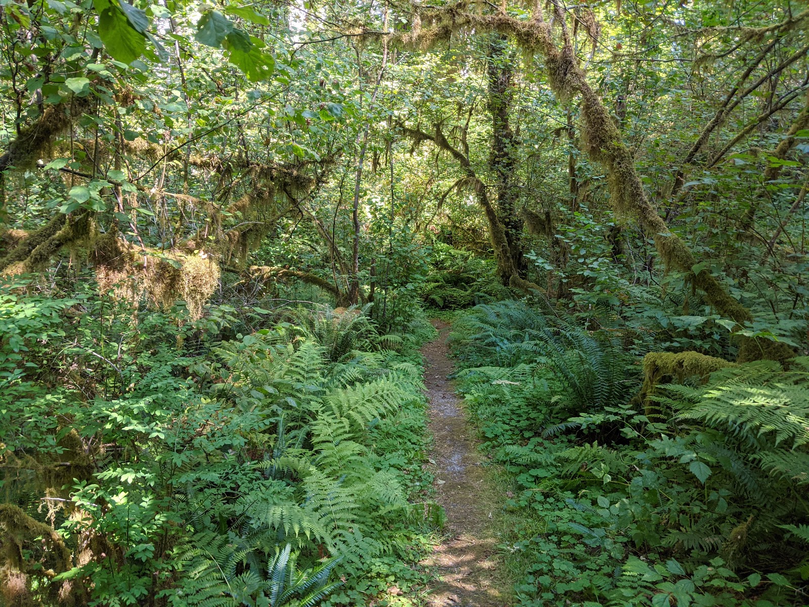 Elkhorn Valley and Canyon Creek Rec Site