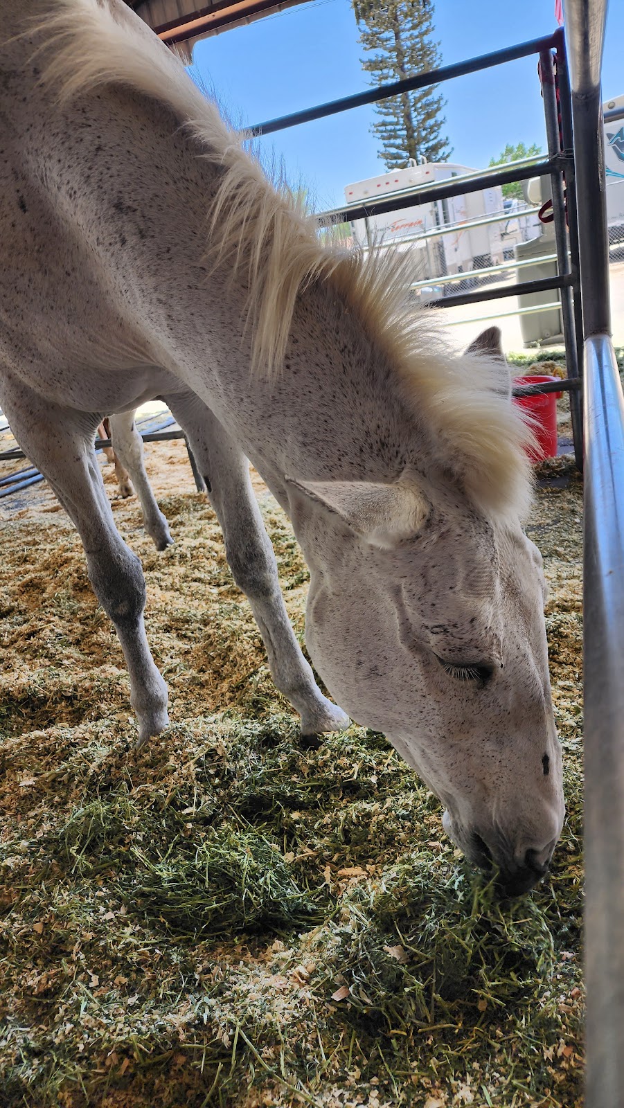 Tri-County Fairgrounds