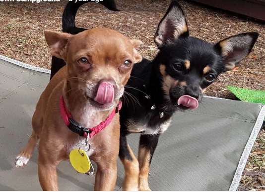 Old Town Campground 'n' Retreat