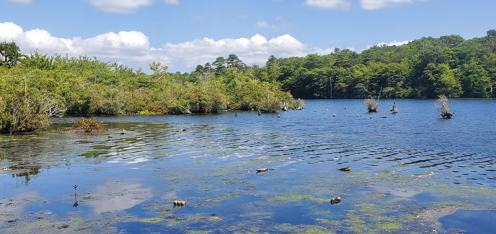 Southaven County Park Campground
