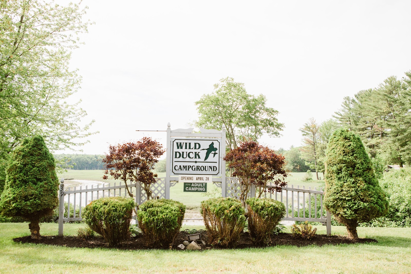 Wild Duck Campground