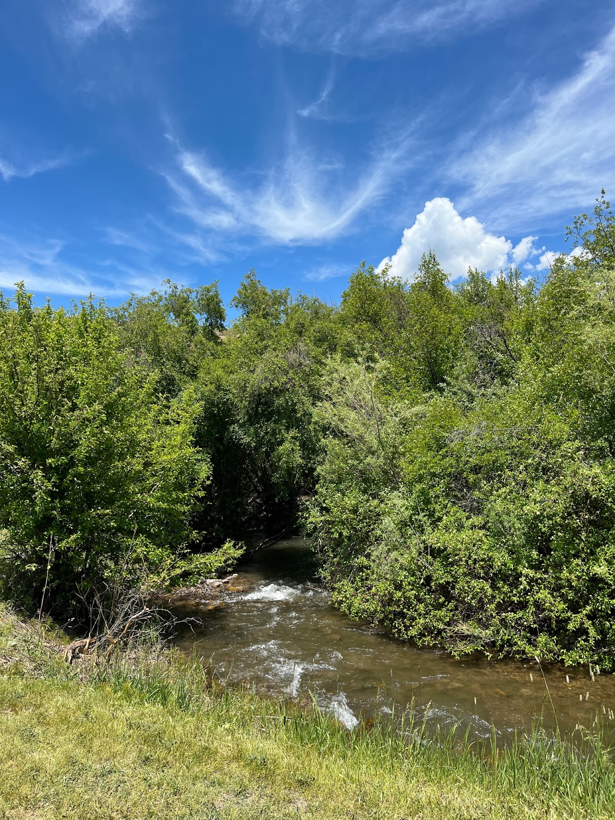 Montpelier Creek KOA