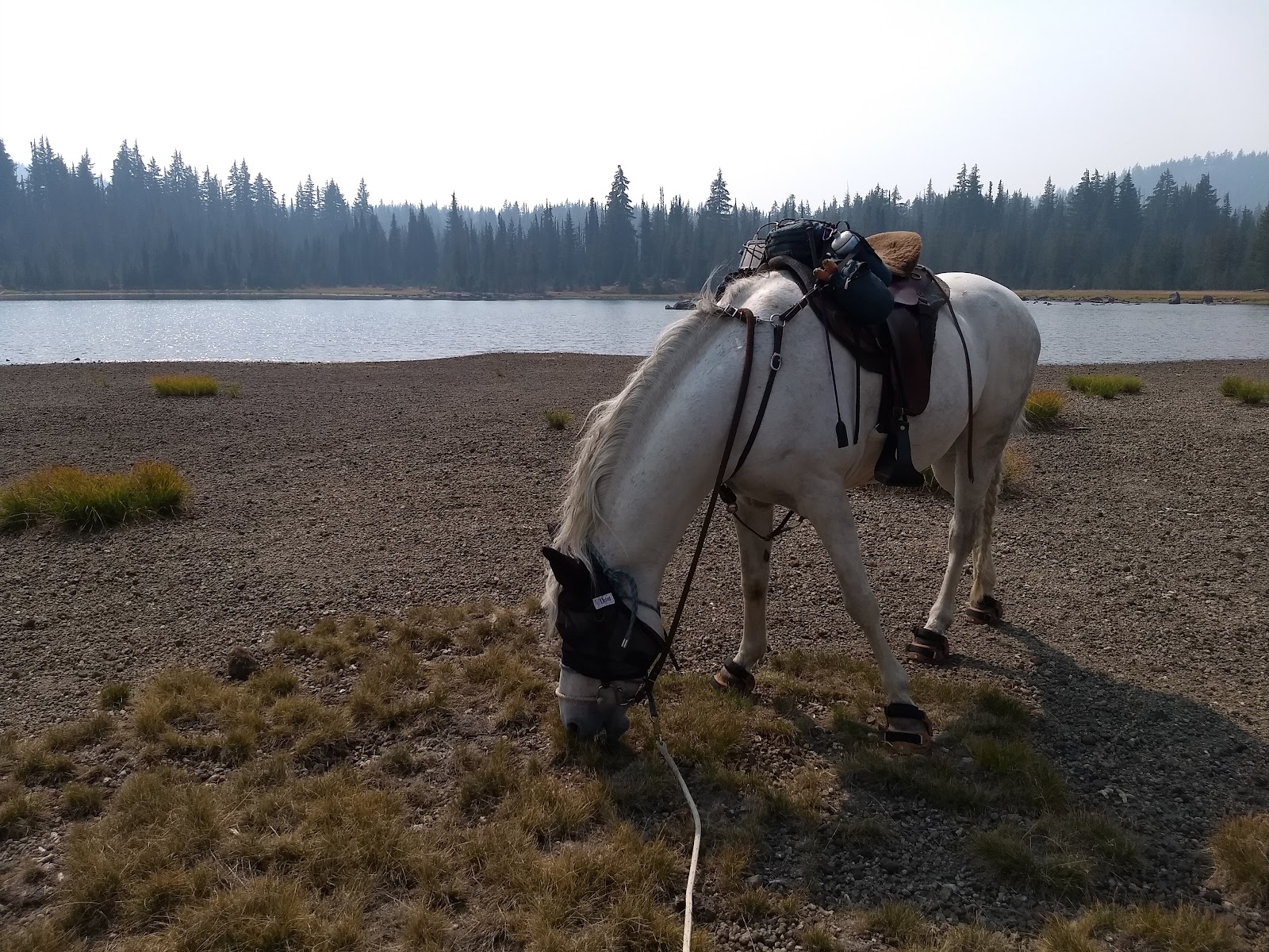 Quinn Meadow Horse Camp Campground