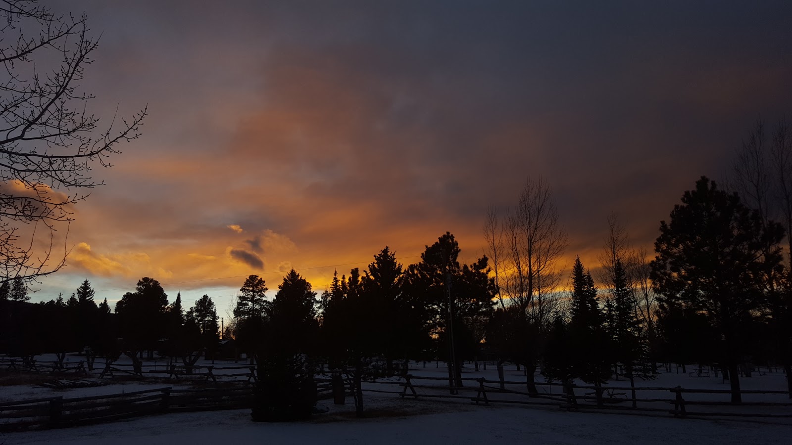 Camperworld-Pine Forest Park