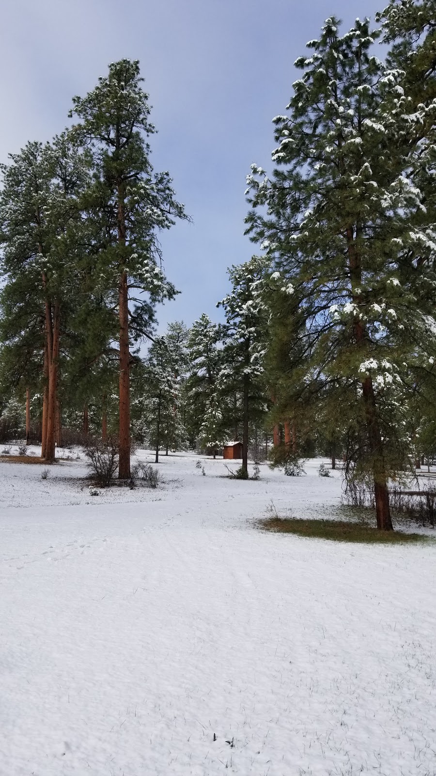Buzzard Park Campground