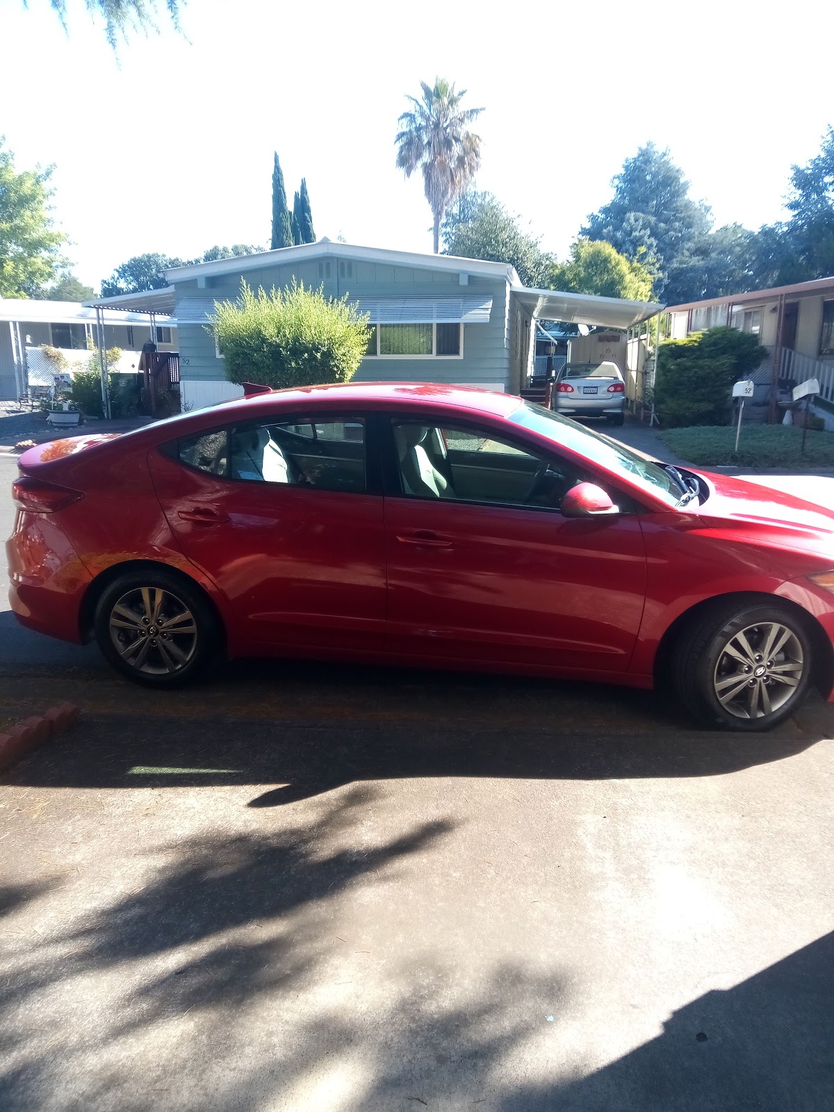 Manor Oaks Overniter