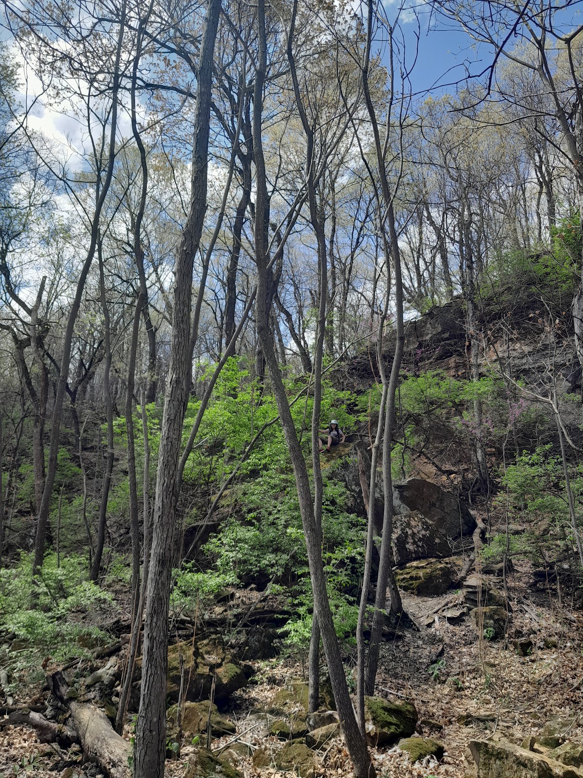 Kessler Mountain Regional Park