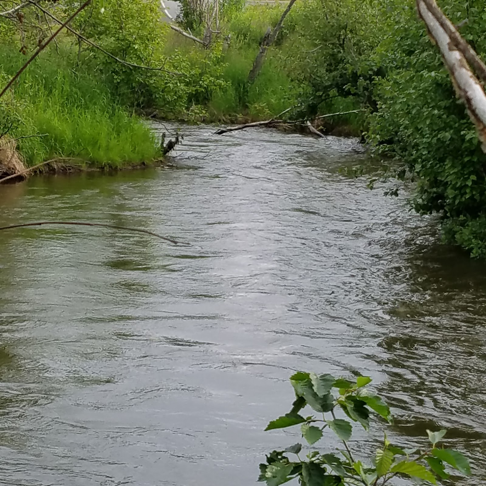 Funny River Campground