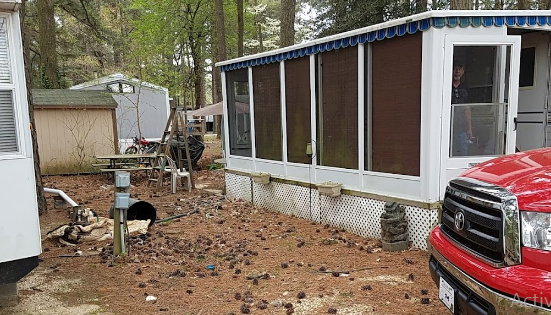 Pine Haven Campground