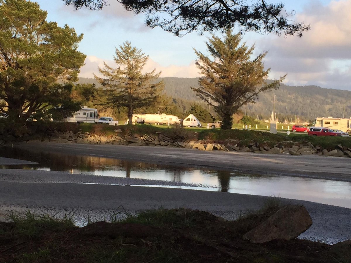 Shoreline RV Park & Campground