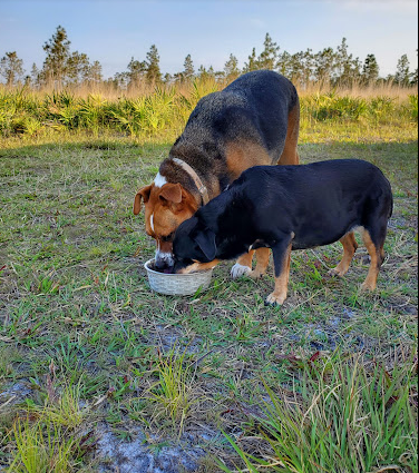 Three Lakes Wildlife Management Area