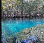 Manatee Springs RV Park