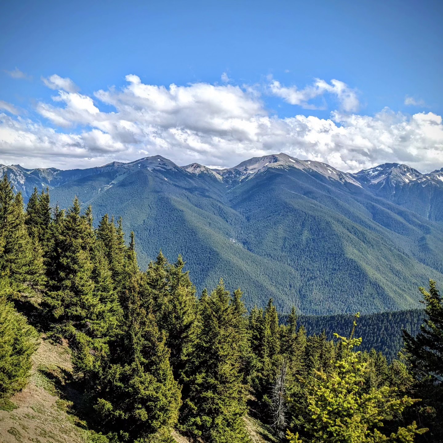Deer Park Campground - Olympic National Park
