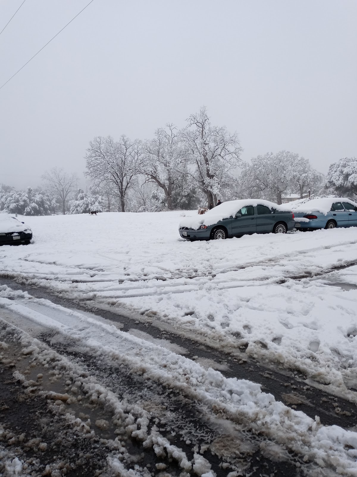 Mammoth Pool Campground