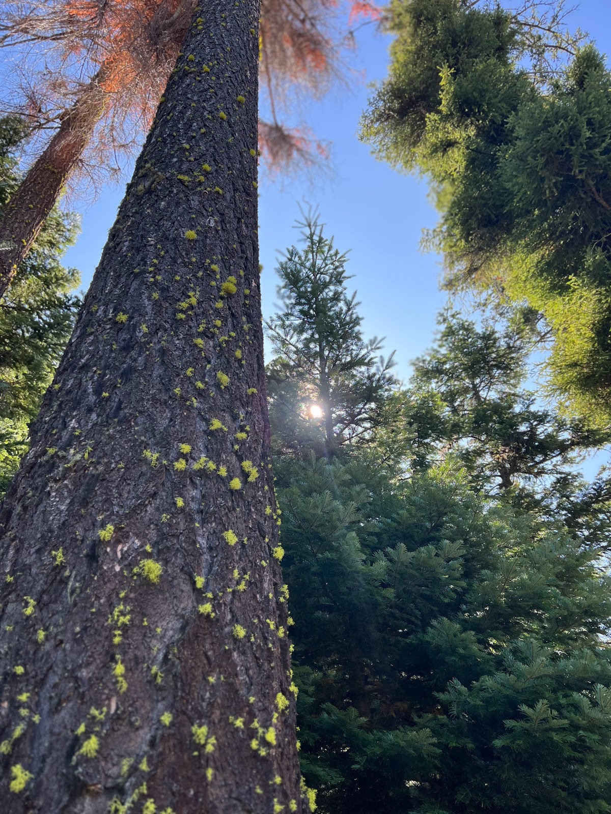 Eightmile Crossing Campground