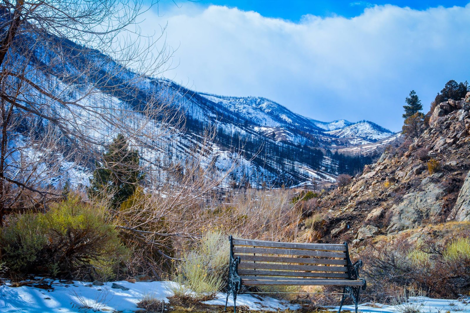 Canyonside Campground