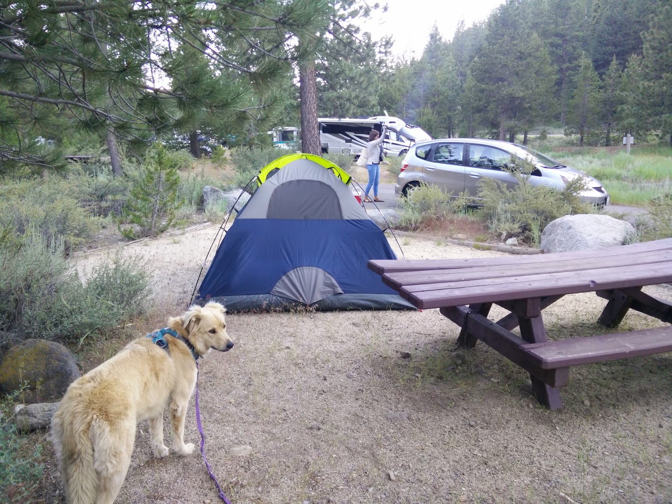 Boyington Mill Campground