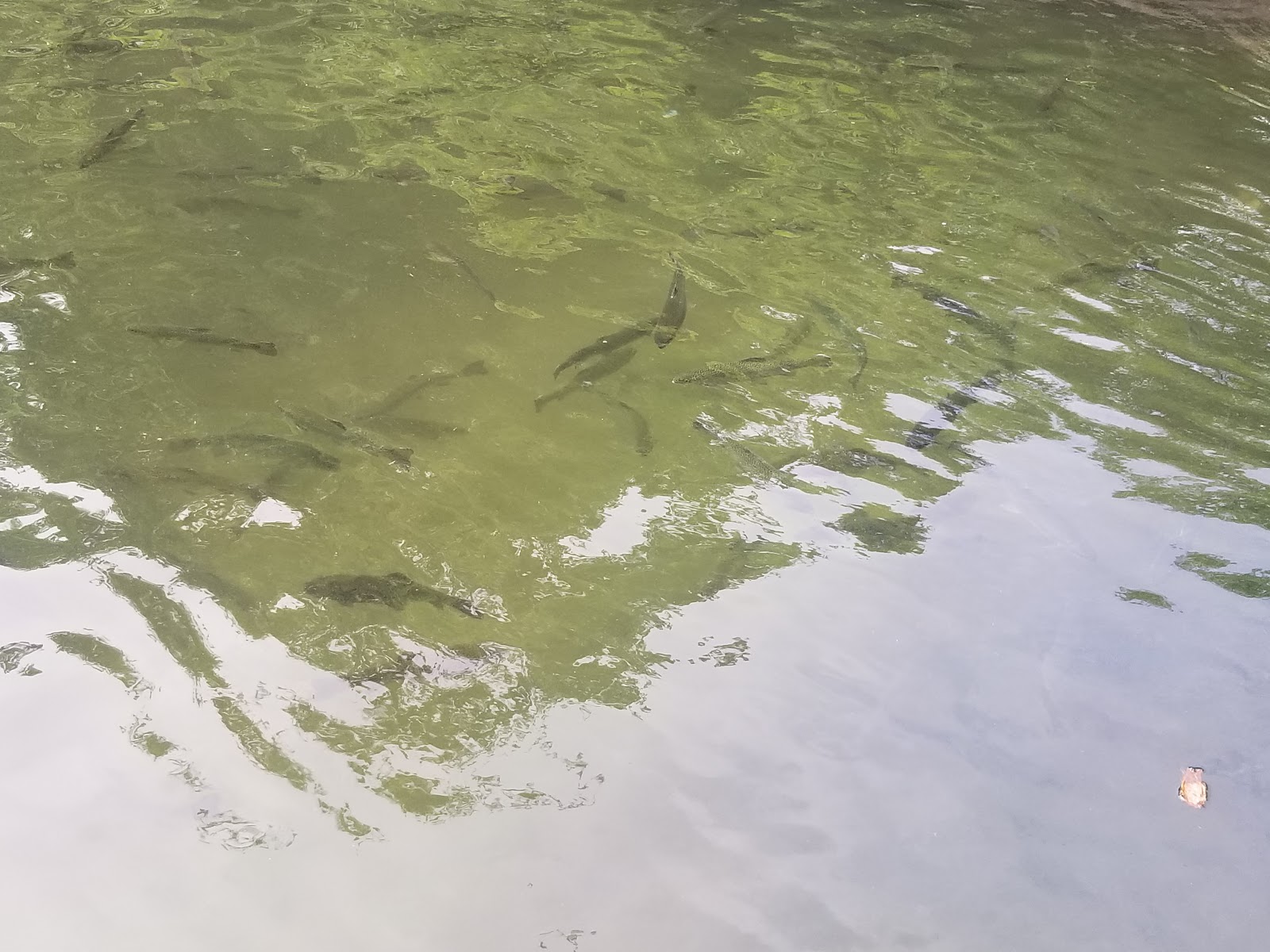 Moyers Lake and Campground
