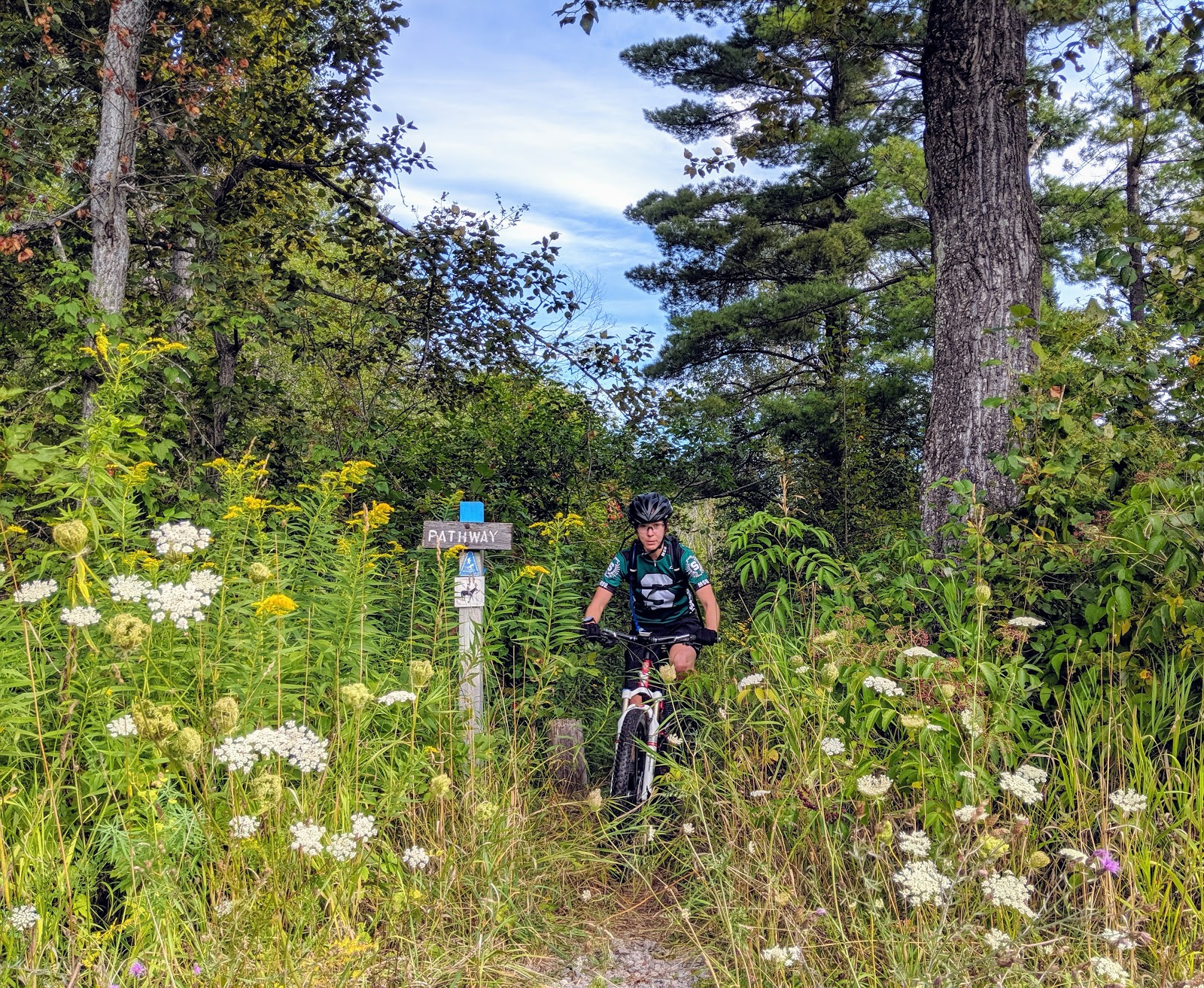 Pigeon River SF Campground