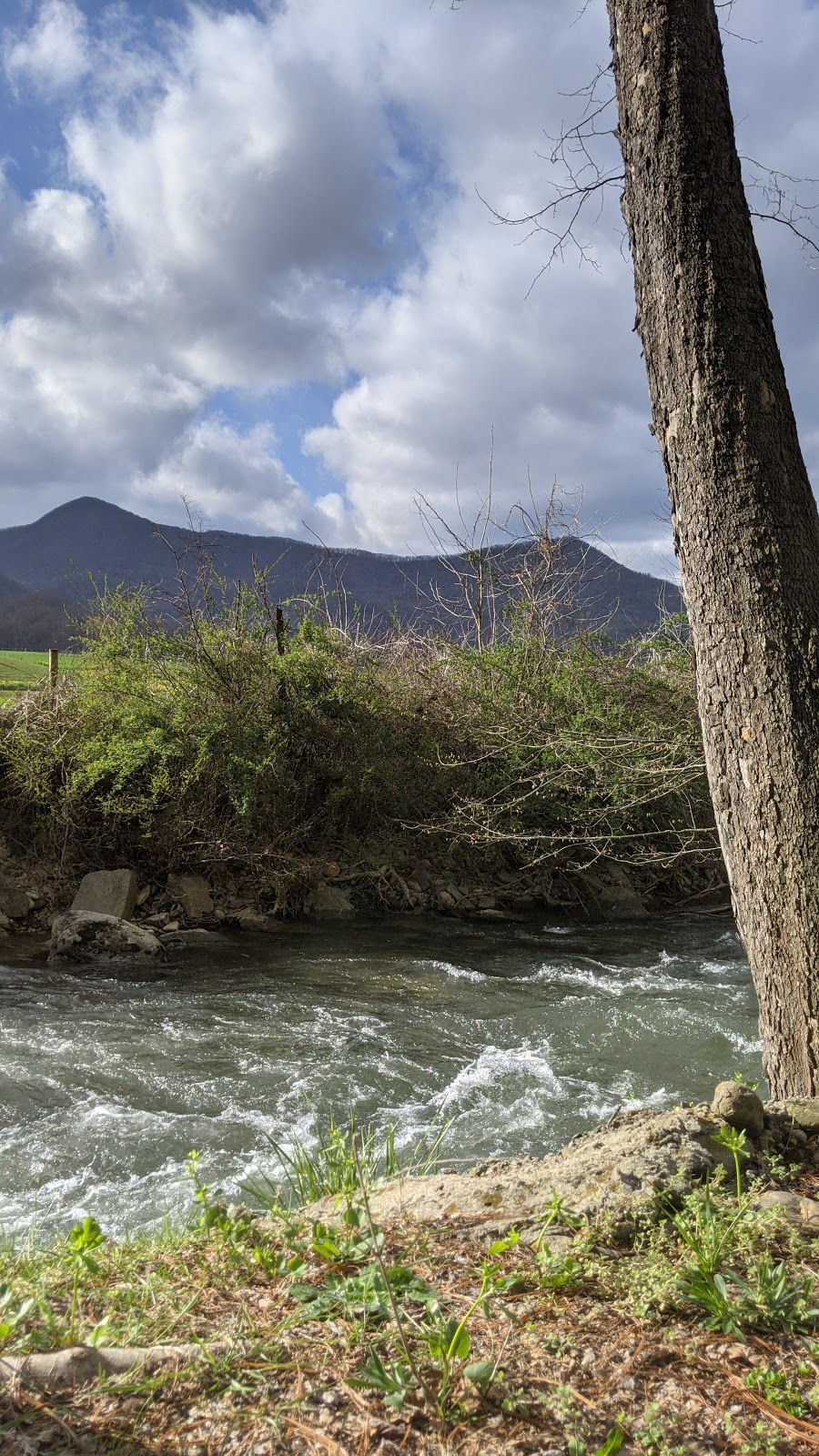 Winngray Family Campground