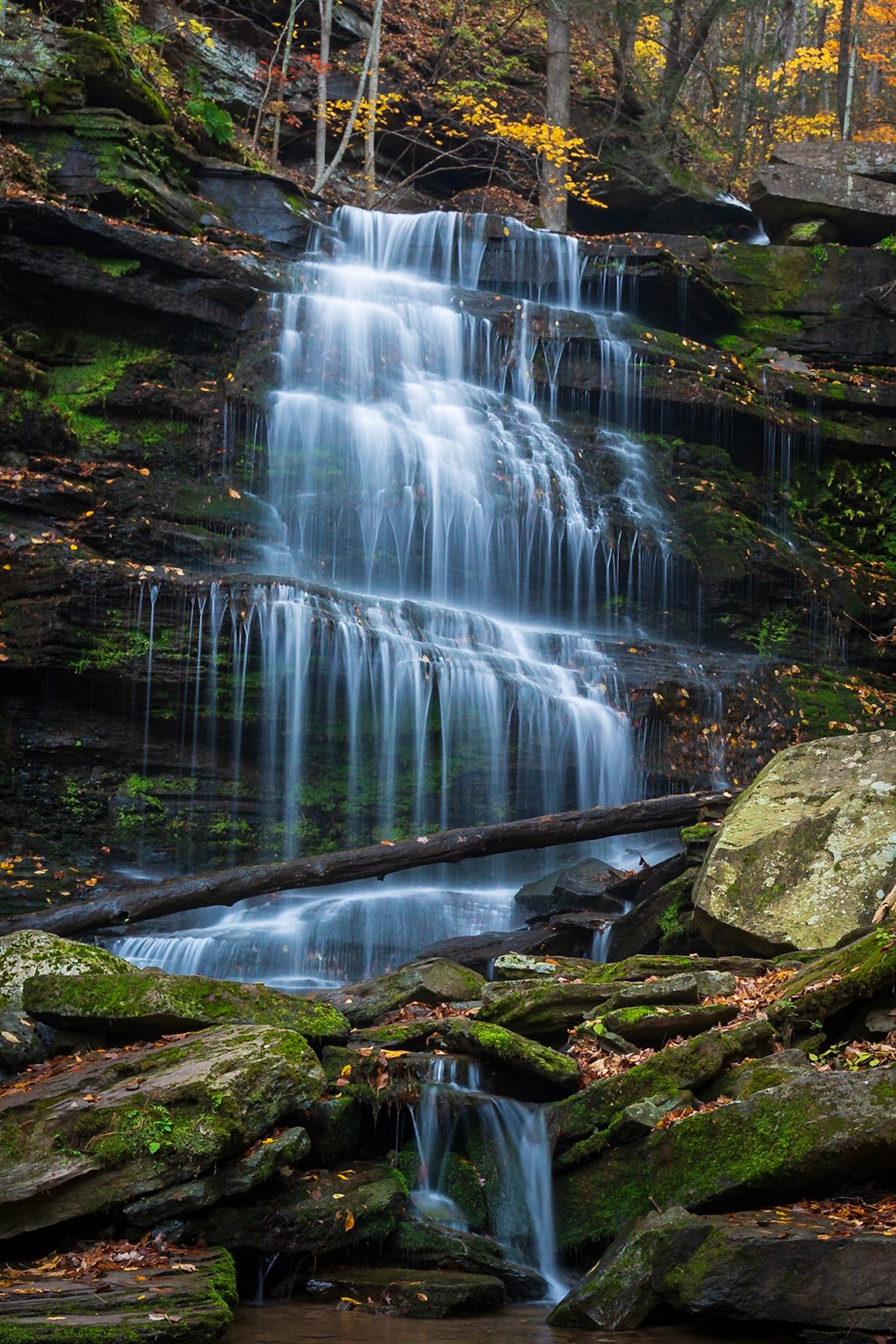 Leonard Harrison State Park