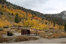 Upper Pine Grove Campground