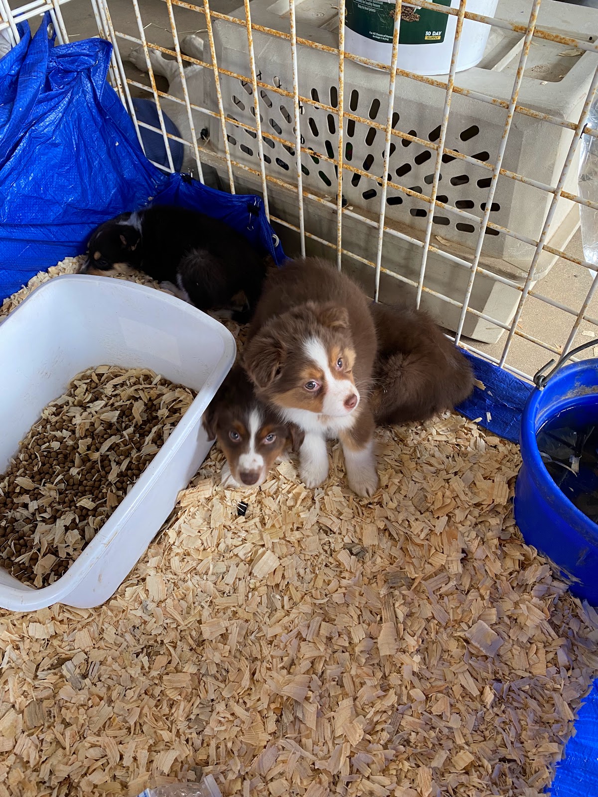 Currys Trade Grounds and RV Park