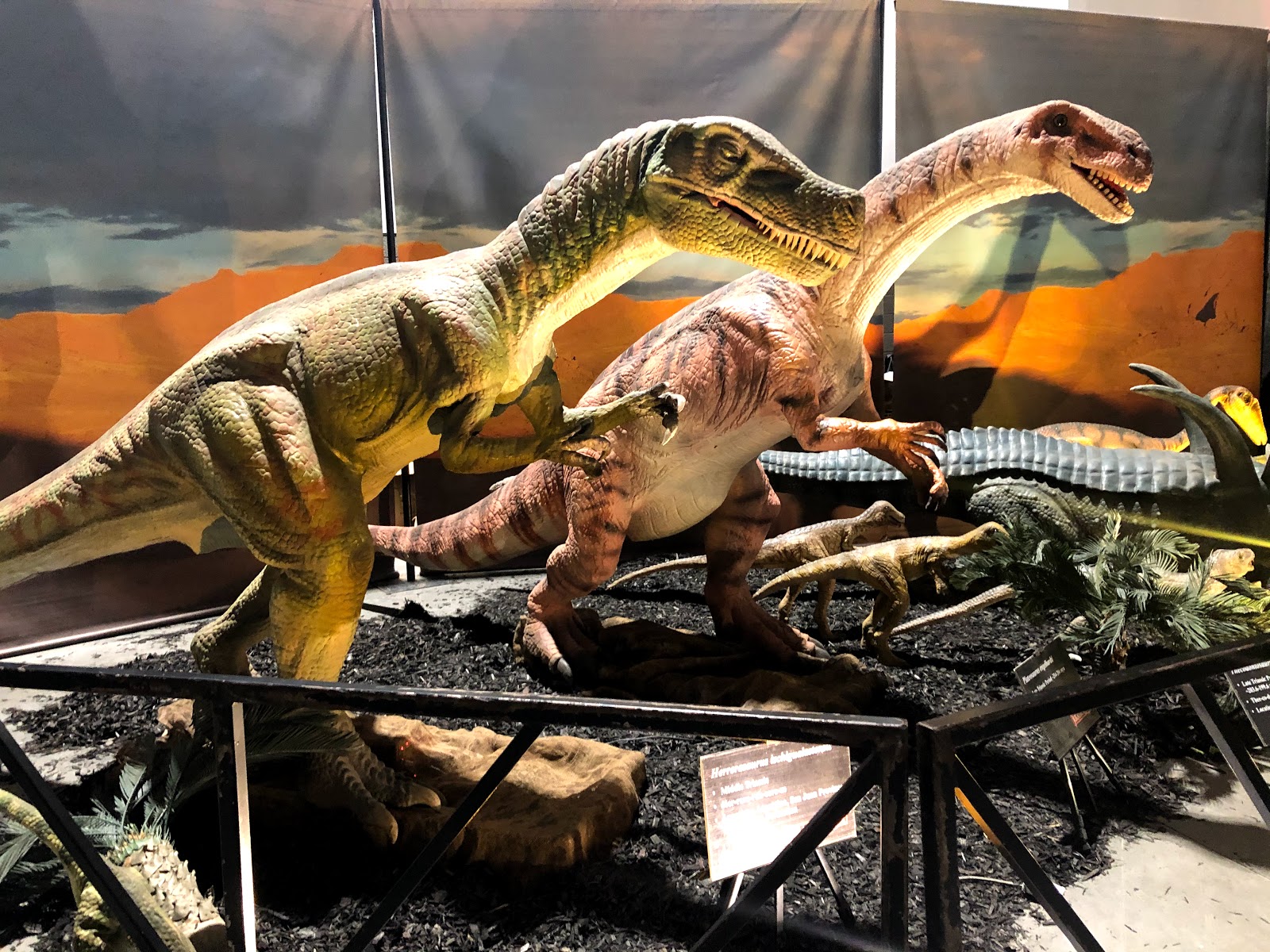 New York State Fairgrounds