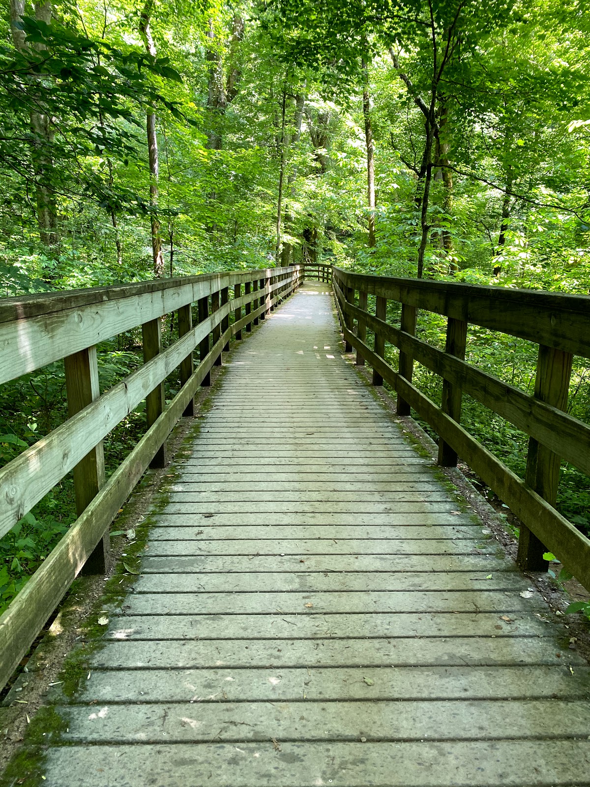 Mammoth Cave Campground