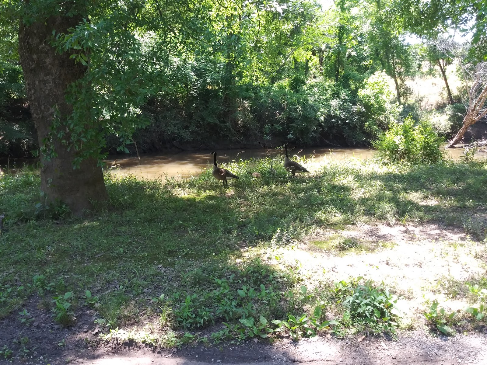 Atlanta West Campground