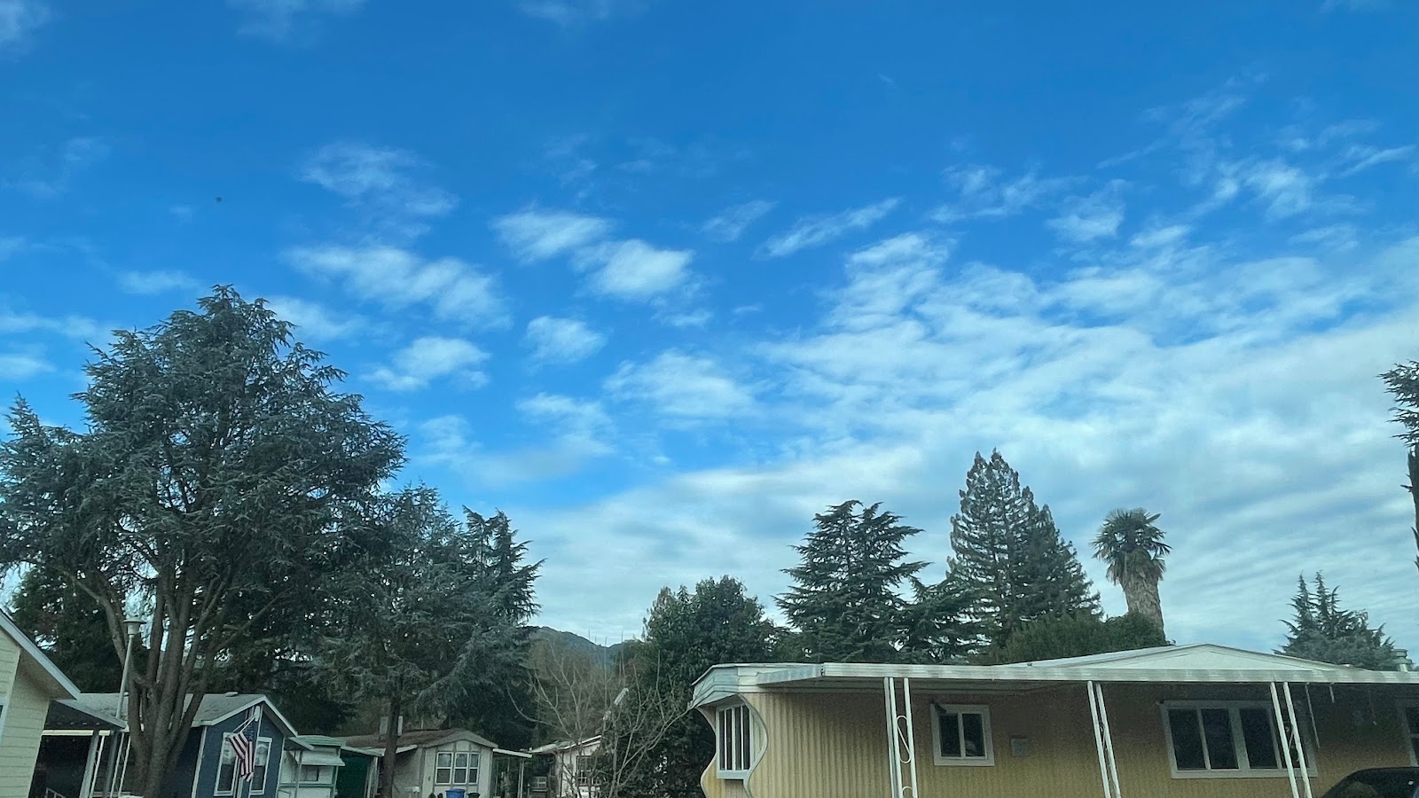 Manor Oaks Overniter