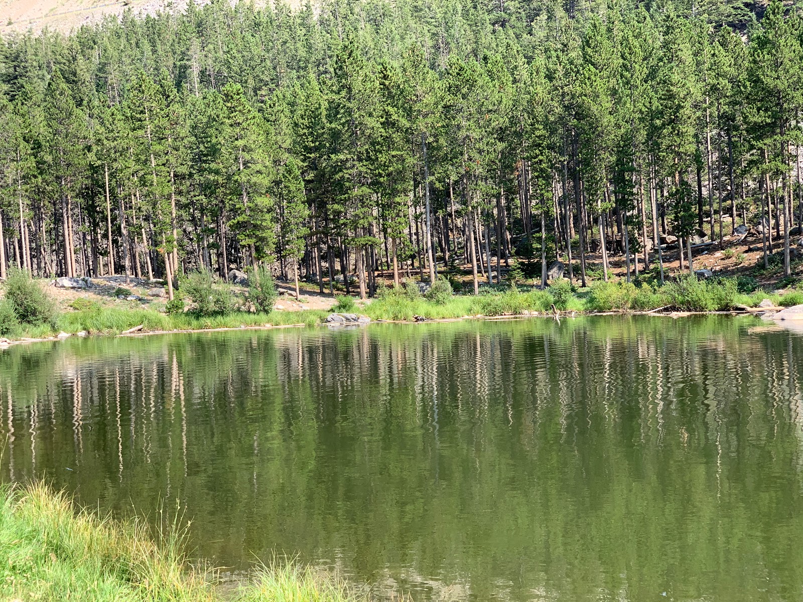 Greenough Lake Campground