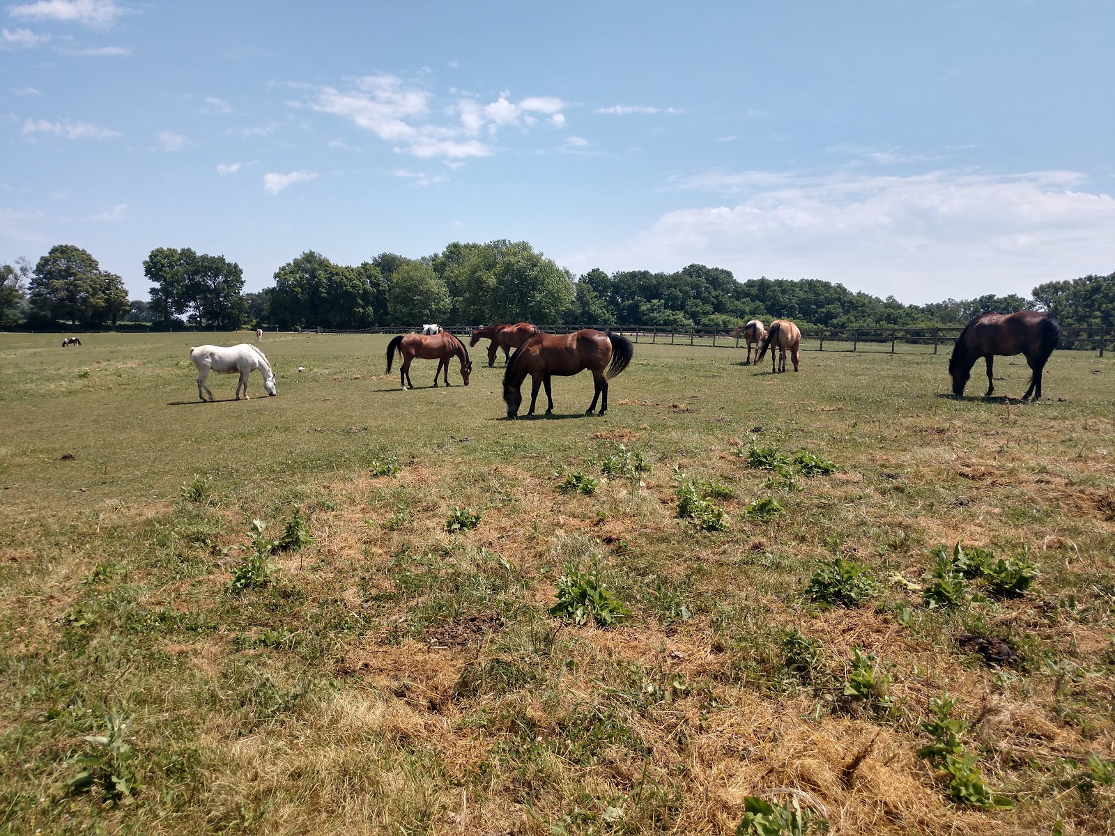 Hansen's Hide Away Ranch & Family Campground