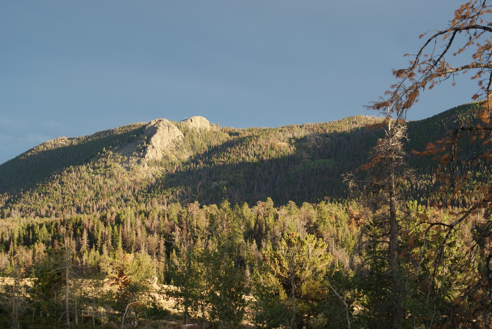 Yellow Pine Campground