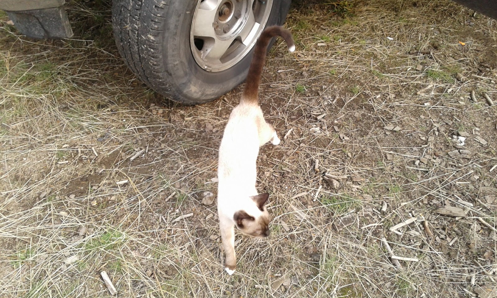 Little Boulder Creek Campground