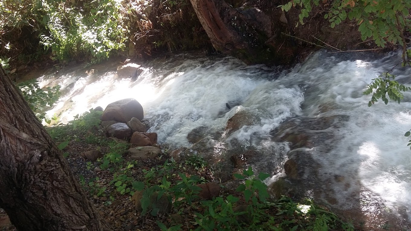 Oaks Family Conference & Camp