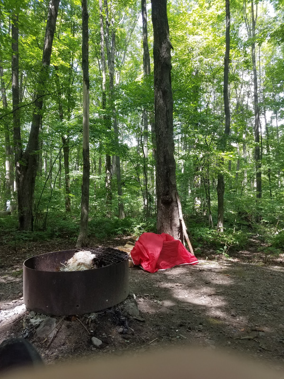 Otter Lake Park Campground
