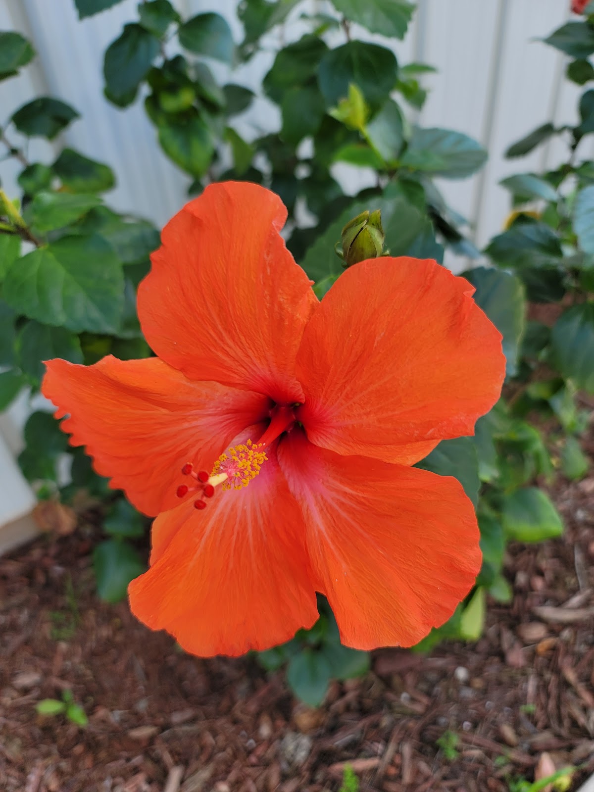 Endless Summer RV Estates