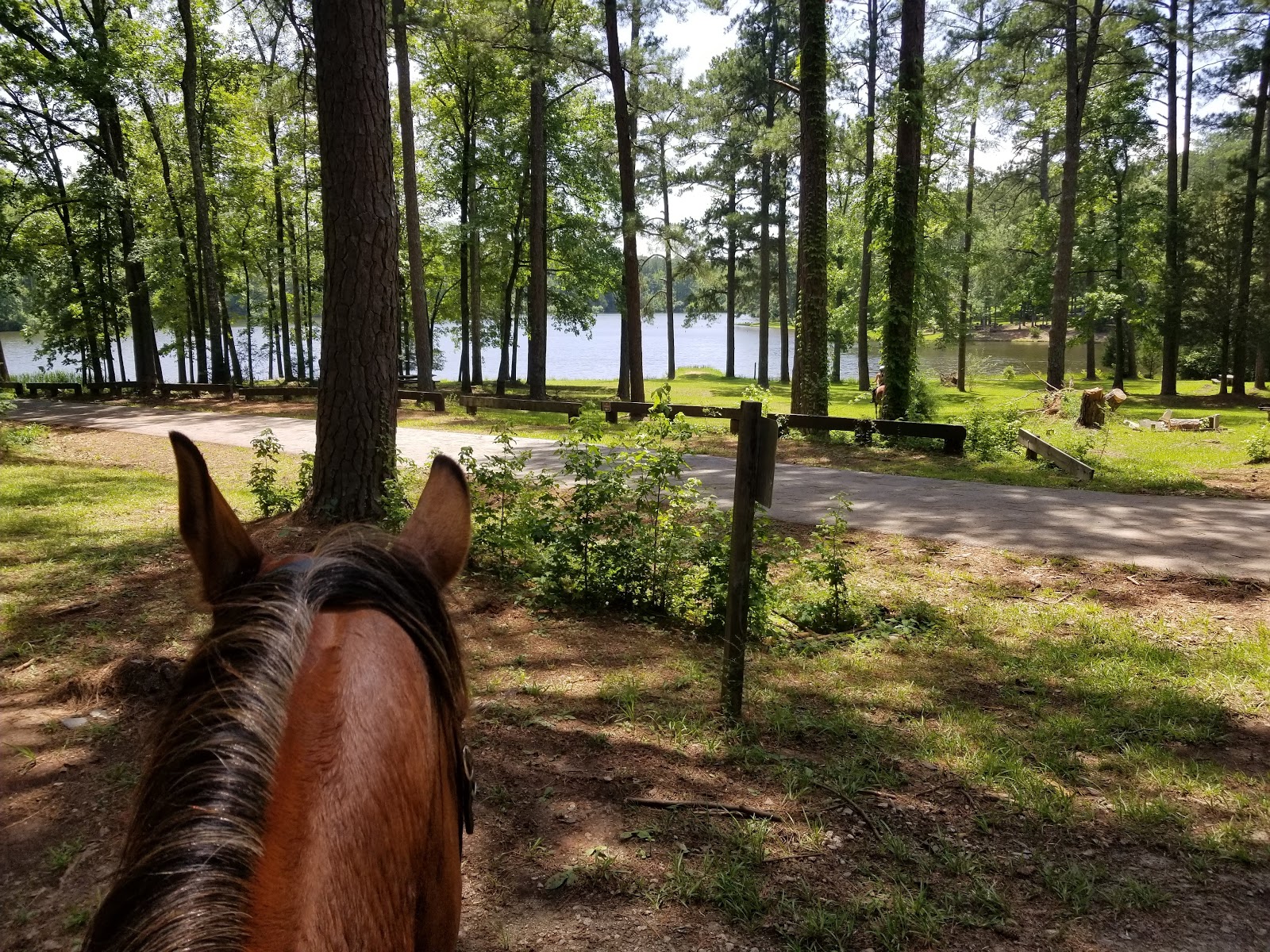 Parson’s Mountain Recreation Area