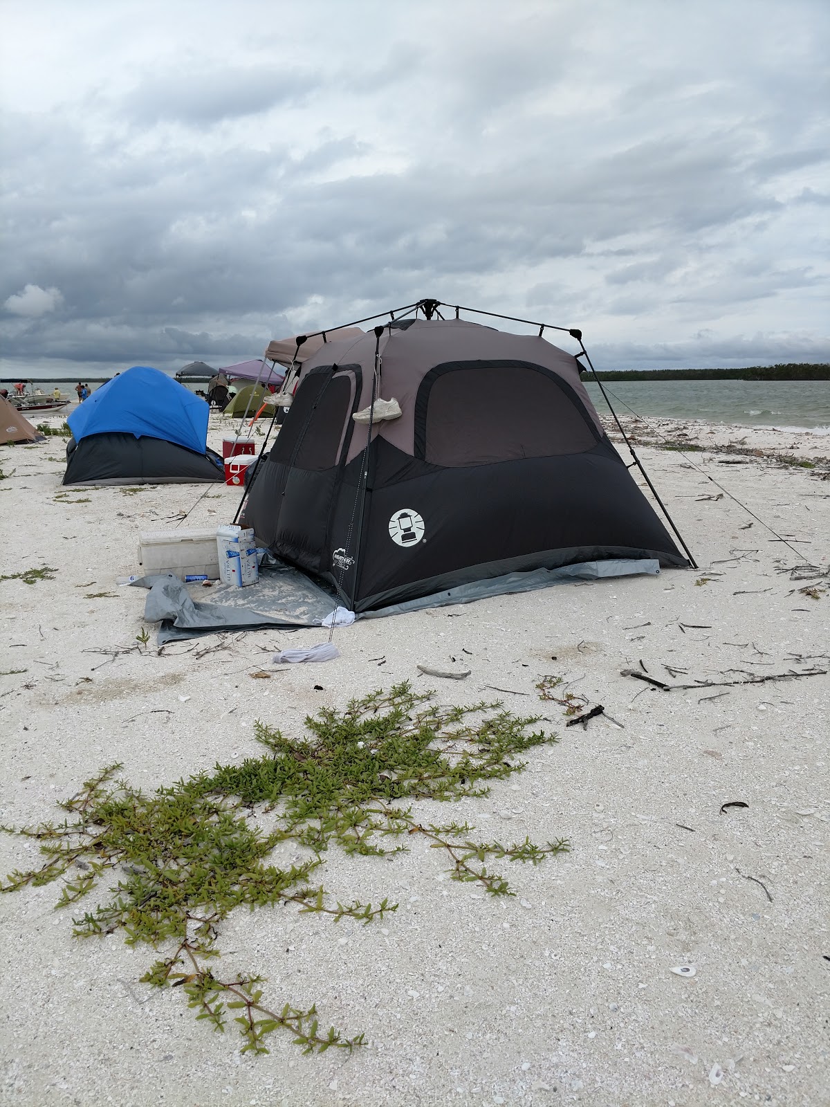 Backcountry Pavillion Key - Everglades National Park